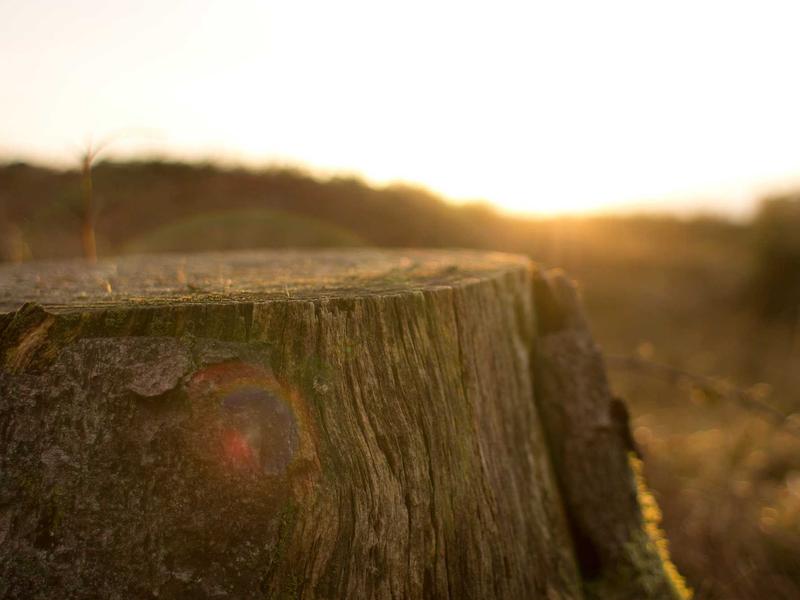 sudoku solution check